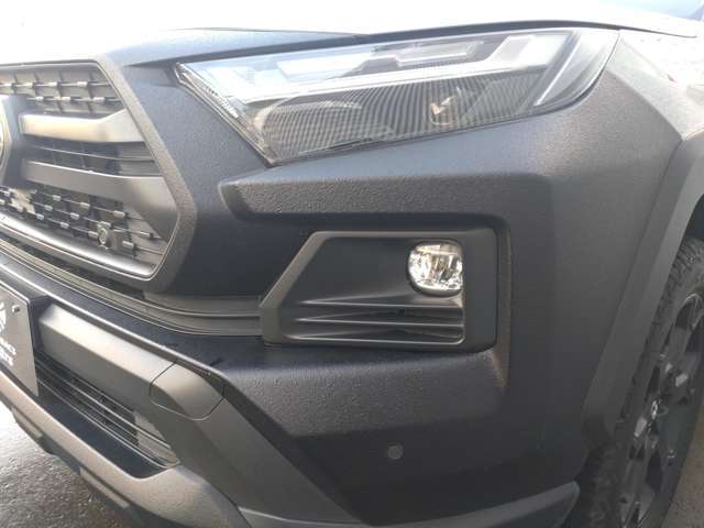 �I�[�g�o�b�N�X�ł͂��N���}���w������J�[