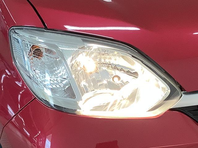 �y�L���C�Ȃ��N���}�����҂����Ă���܂��z���Ƀ_�C�n�c�ł͓X�ܓ��ɑO�ɓ��ЍĐ��H��ɂăN���[�j���O�I�X�܂ł�����I�ɐ�ԁ��i���ɂ͎��M������܂��I���C�y�ɂ����X�������B