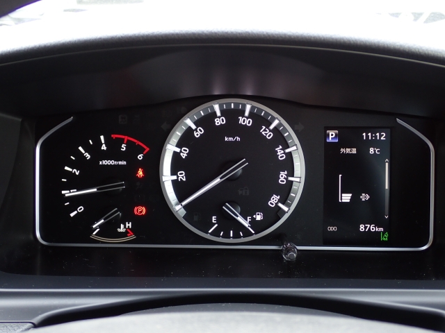 ���[�^�[�p�l�����m�肽����񂪈�ڗđR�ł��ˁB