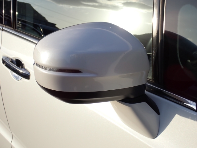 �I���b�N�X�F�蒆�ÎԂ͑S�ԊӒ菑�t���B�������AIS�̌�����S�ԗ��Ɏ��{��1�䂲�Ƃɕ]���_�̂����F�菑�̔��s���s���Ă���܂��B