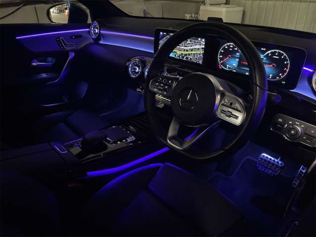 �A���r�G���g���C�g�Ŏԓ������z�I�Ɍ����