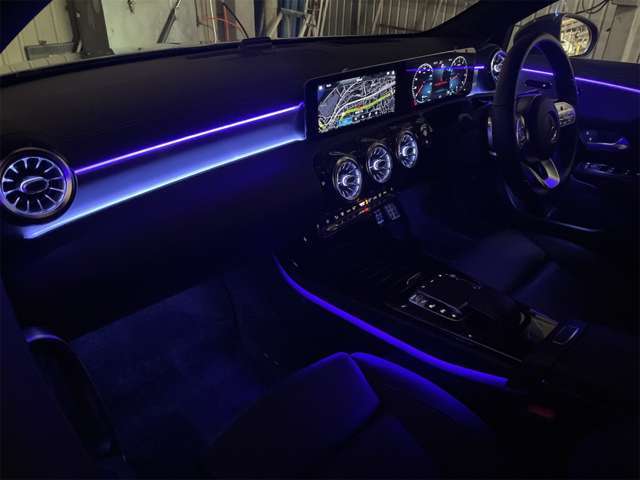 �A���r�G���g���C�g�Ŏԓ������z�I�Ɍ����