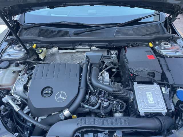 �s����̓G���W�����[���Ŋm�F�ł���ꍇ