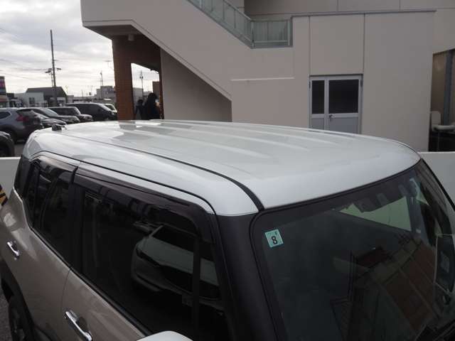 ���������ȃc�[�g�����[�t�I�j���Ƃ��ɐl�C