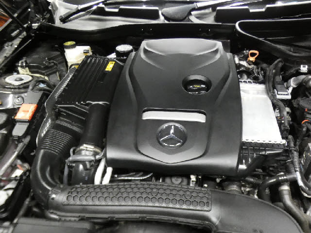 �����ԑт�V����C�ɂ����ɂ��Ԃ����������鉮���t���W��������p�ӁI���f�ڈȊO�̎ʐ^���z�[���y�[�W�Ō��J���I���񂲗��������I���������F�^�^�������D�������|�����������D�������^