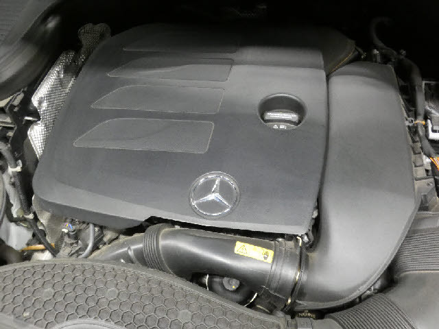 �����ԑт�V����C�ɂ����ɂ��Ԃ����������鉮���t���W��������p�ӁI���f�ڈȊO�̎ʐ^���z�[���y�[�W�Ō��J���I���񂲗��������I���������F�^�^�������D�������|�����������D�������^