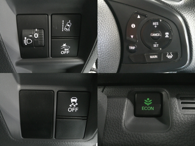 �b��̃z���_�Z���V���O���ځB���S�^�]�̋��������ł���