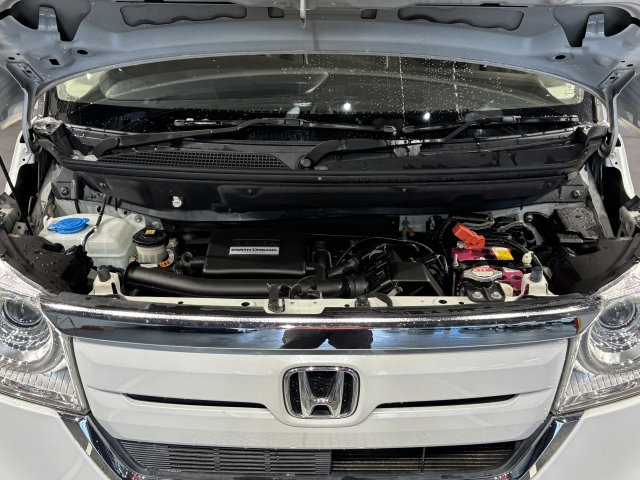 �����S�̃I���b�N�X�F�蒆�ÎԂ́A�S�ԁw�C���𖳂��x���S�ԔF�菑�t���I�I���M�������Ă����߂ł���F�蒆�ÎԂ𐥔�䗗������������