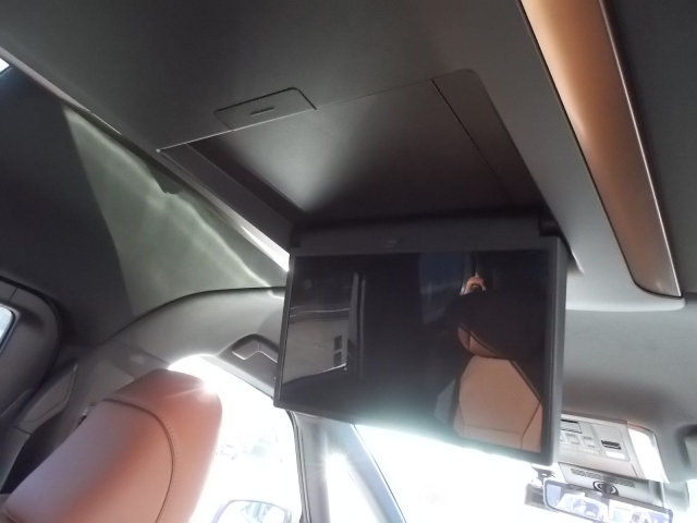 �t���b�v�c�����Ă܂��B