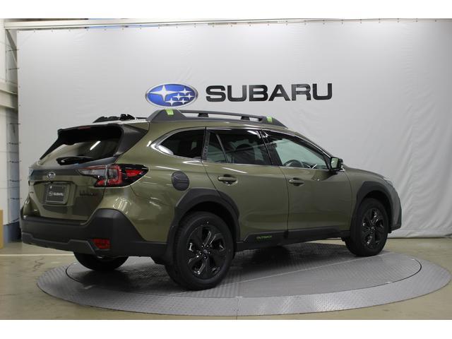 �R���X�o���J�[�X�|�b�g�b�{�͍b�{�w�k�����琼�ɍ݂�܂��B