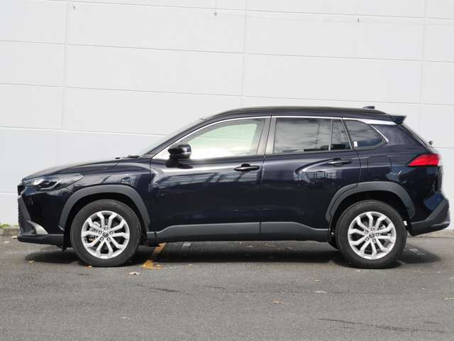 ���X�͒n��ő勉�̔����ʐςƕi�����A��