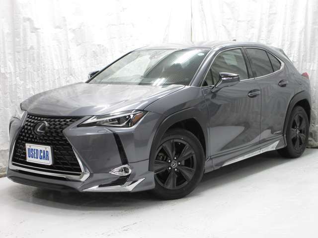 ���Ԃ̏�Ԃ͓��O�����ɂƂĂ��Y��ȏ�Ԃ�