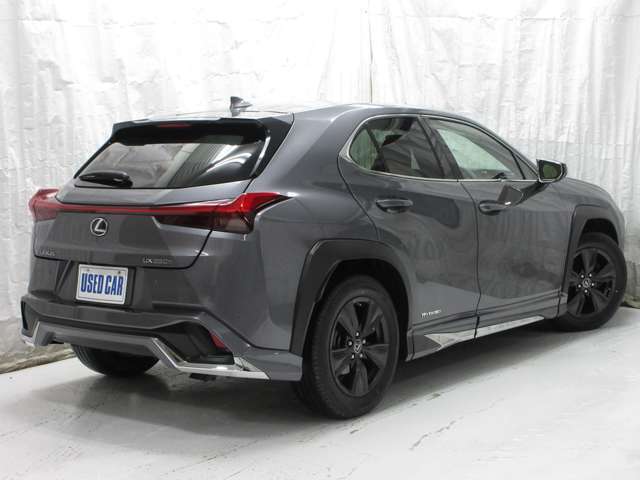 �����̂��w����]�̂��q�l���劽�}�ł��I��