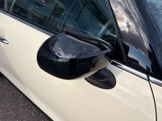 ���[�t�Ɠ����u���b�N�̃~���[�L���b�v�ŃJ