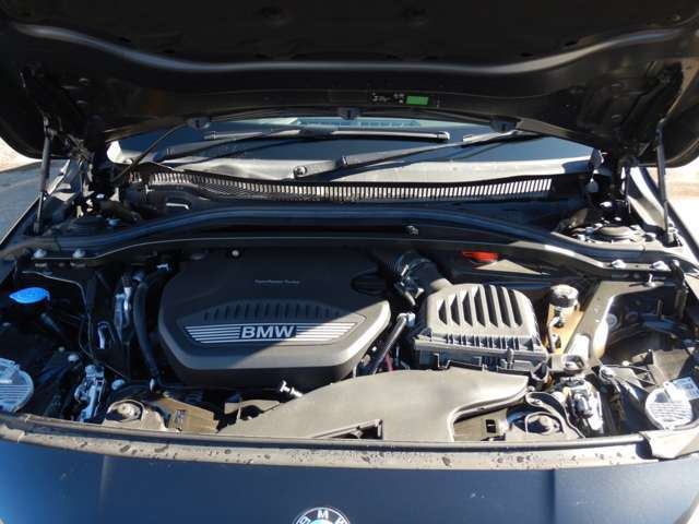 ���S�f�B�[�[��