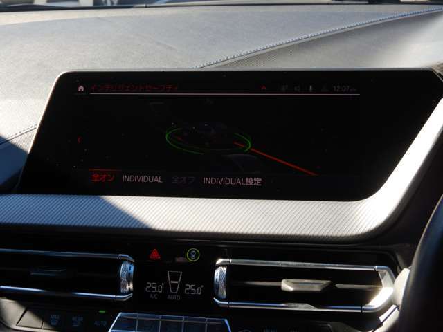 �C���e���W�F���g�Z�[�t�e�B