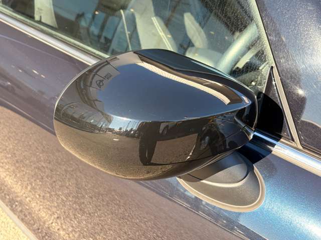 ���[�t�Ɠ����u���b�N�̃~���[�L���b�v�ŃJ