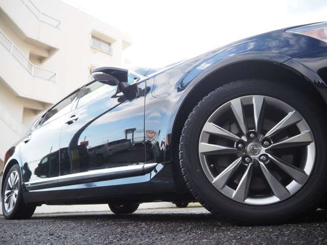 �����P�W�C���`�`�v�����������т₩���܂�