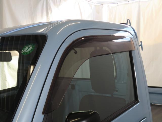 ���C�h�o�C�U�[�ł��B�J�̓��ł���C�̓���ւ����ł���̂ŋC�������ǂ��ł��B