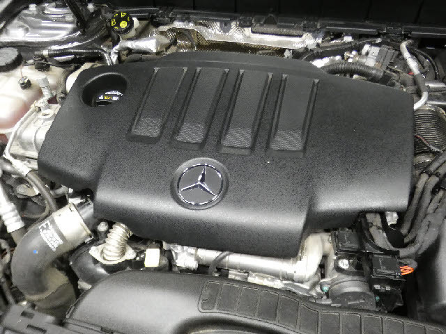 �����ԑт�V����C�ɂ����ɂ��Ԃ����������鉮���t���W��������p�ӁI���f�ڈȊO�̎ʐ^���z�[���y�[�W�Ō��J���I���񂲗��������I���������F�^�^�������D�������|�����������D�������^