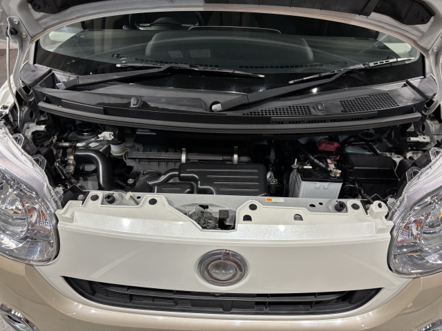 �����S�̃I���b�N�X�F�蒆�ÎԂ́A�S�ԁw�C���𖳂��x���S�ԔF�菑�t���I�I���M�������Ă����߂ł���F�蒆�ÎԂ𐥔�䗗������������