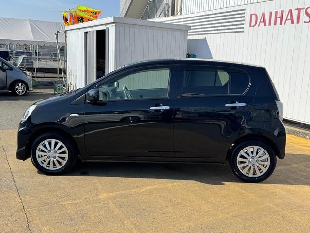 �l�C�̃J���[��