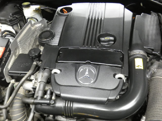 �����ԑт�V����C�ɂ����ɂ��Ԃ����������鉮���t���W��������p�ӁI���f�ڈȊO�̎ʐ^���z�[���y�[�W�Ō��J���I���񂲗��������I���������F�^�^�������D�������|�����������D�������^