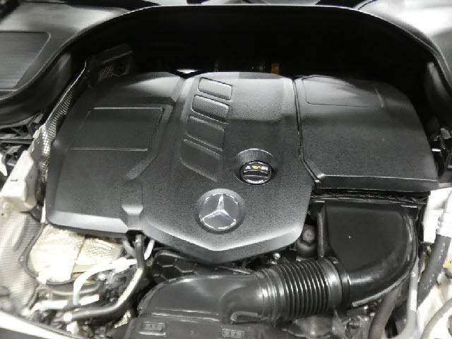 �����ԑт�V����C�ɂ����ɂ��Ԃ����������鉮���t���W��������p�ӁI���f�ڈȊO�̎ʐ^���z�[���y�[�W�Ō��J���I���񂲗��������I���������F�^�^�������D�������|�����������D�������^