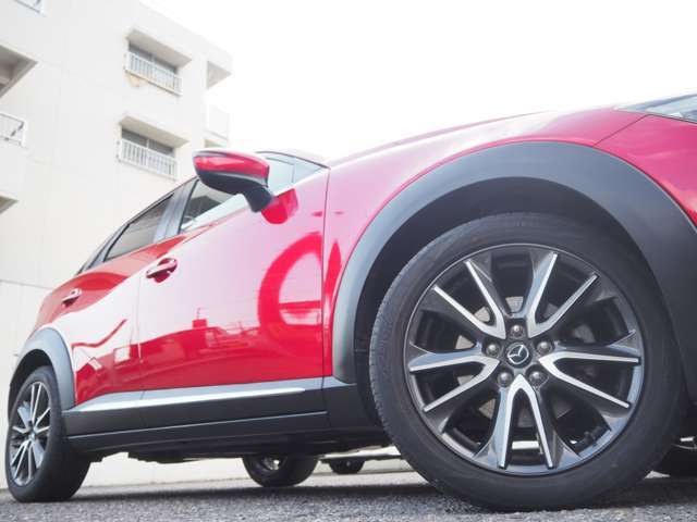 �����P�W�C���`�`�v�����������т₩���܂�