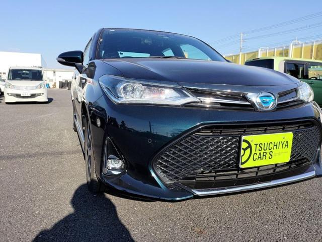 �k�d�c�w�b�h���C�g�I�t�H�O���C�g�I