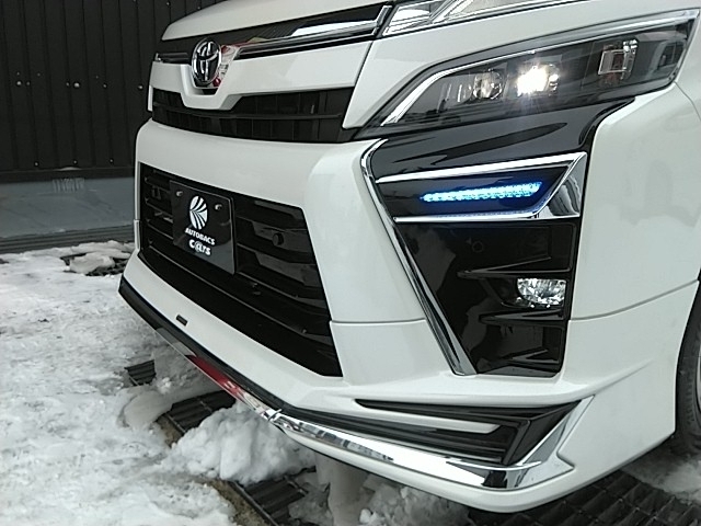 �t�����g���f���X�^�G�A��