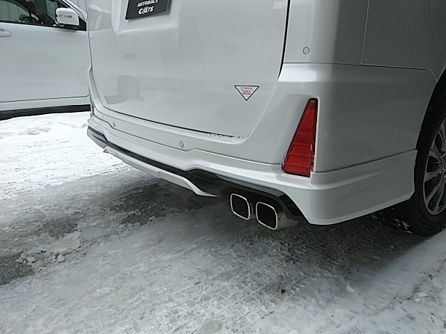 ���A���f���X�^�G�A���E�}�t���[