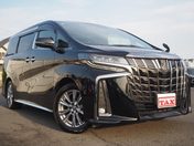 トヨタ アルファードＧ ２．５Ｓ　タイプゴールド　禁煙車　Ｗサン