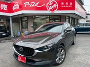 マツダ ＣＸ－３０ ＸＤプロアクティブツーリングセレクション