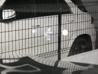 車両画像18