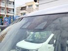 車両画像10