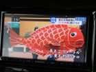 車両画像27
