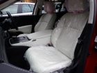 車両画像29