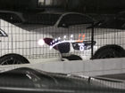 車両画像25
