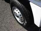 車両画像19