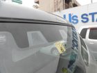 車両画像12