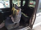 車両画像23