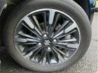 車両画像19