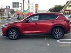 車両画像19