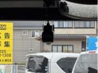 車両画像25