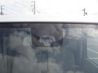 車両画像12
