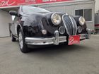 車両画像19