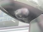 車両画像13