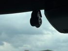 車両画像19