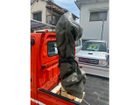 車両画像9